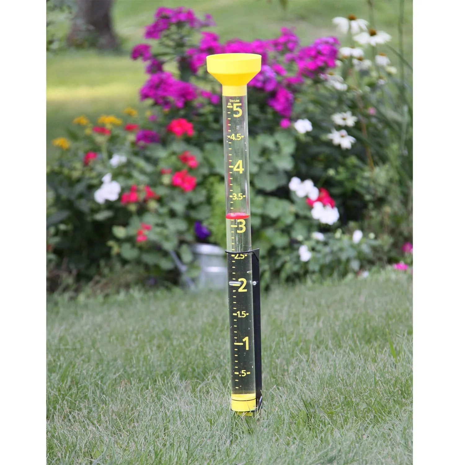 Jumbo Jr. 5" Capacity Rain Gauge