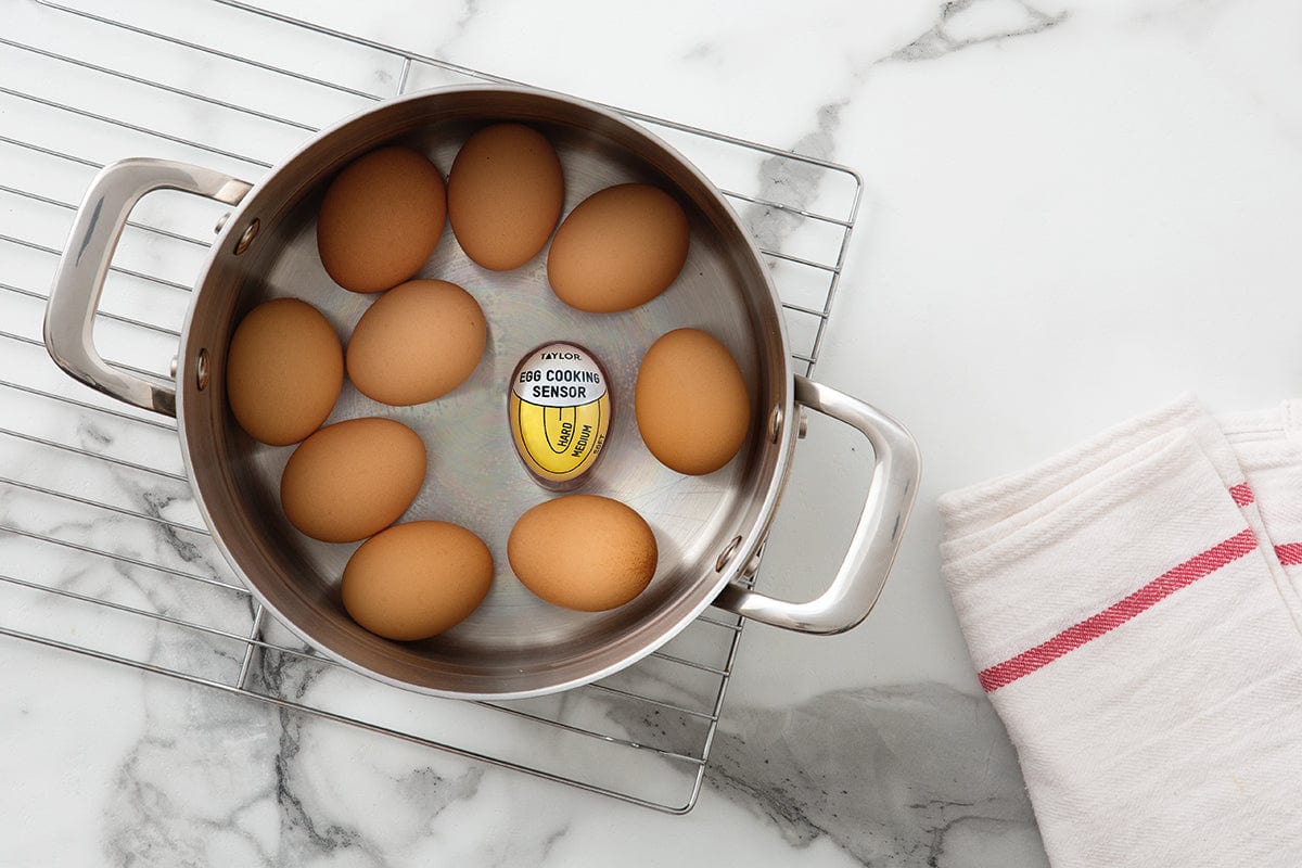 Egg Cooking Sensor