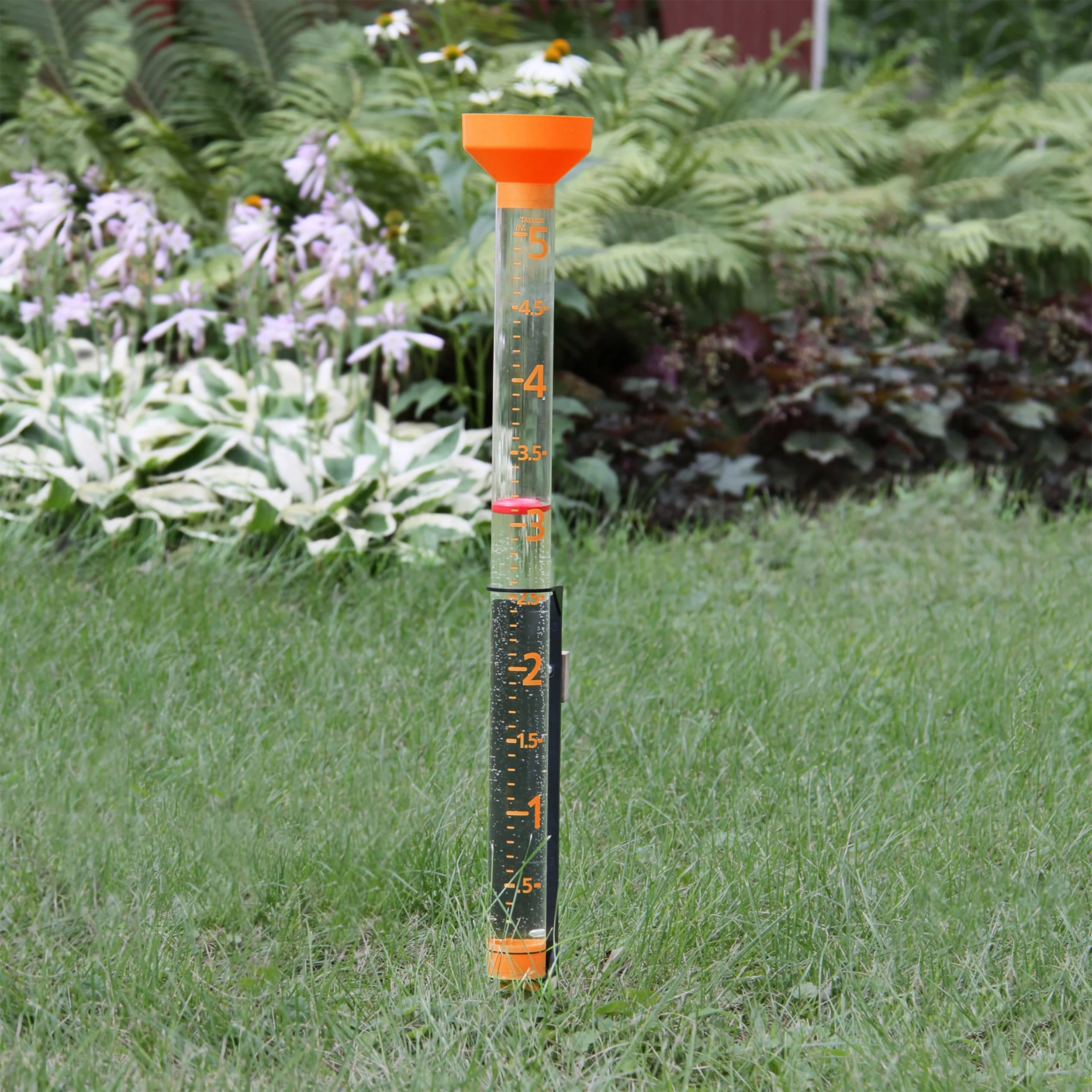 Jumbo Easy-View Rain Gauge