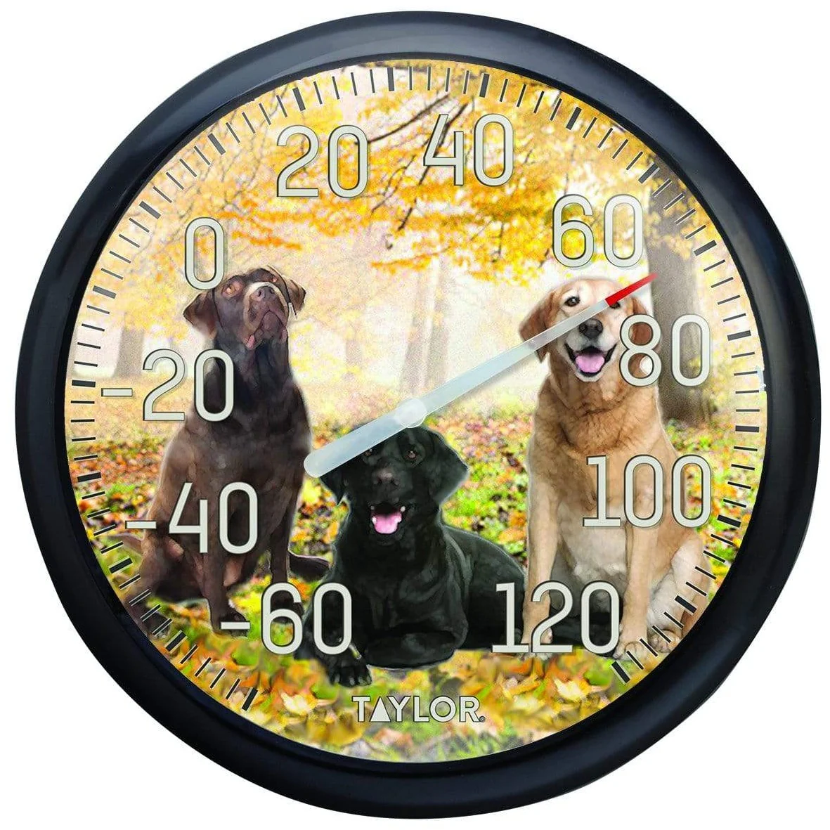 13.25" Labrador Dial Thermometer