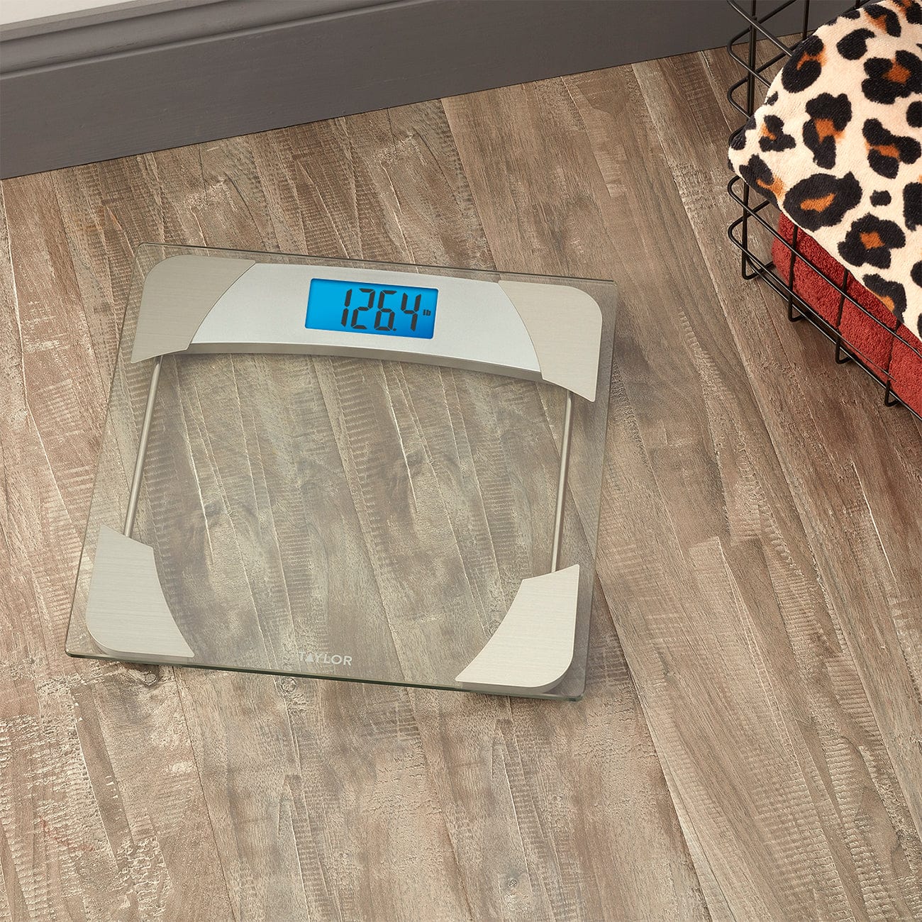 Digital Glass Bathroom Scale with Stainless Accents