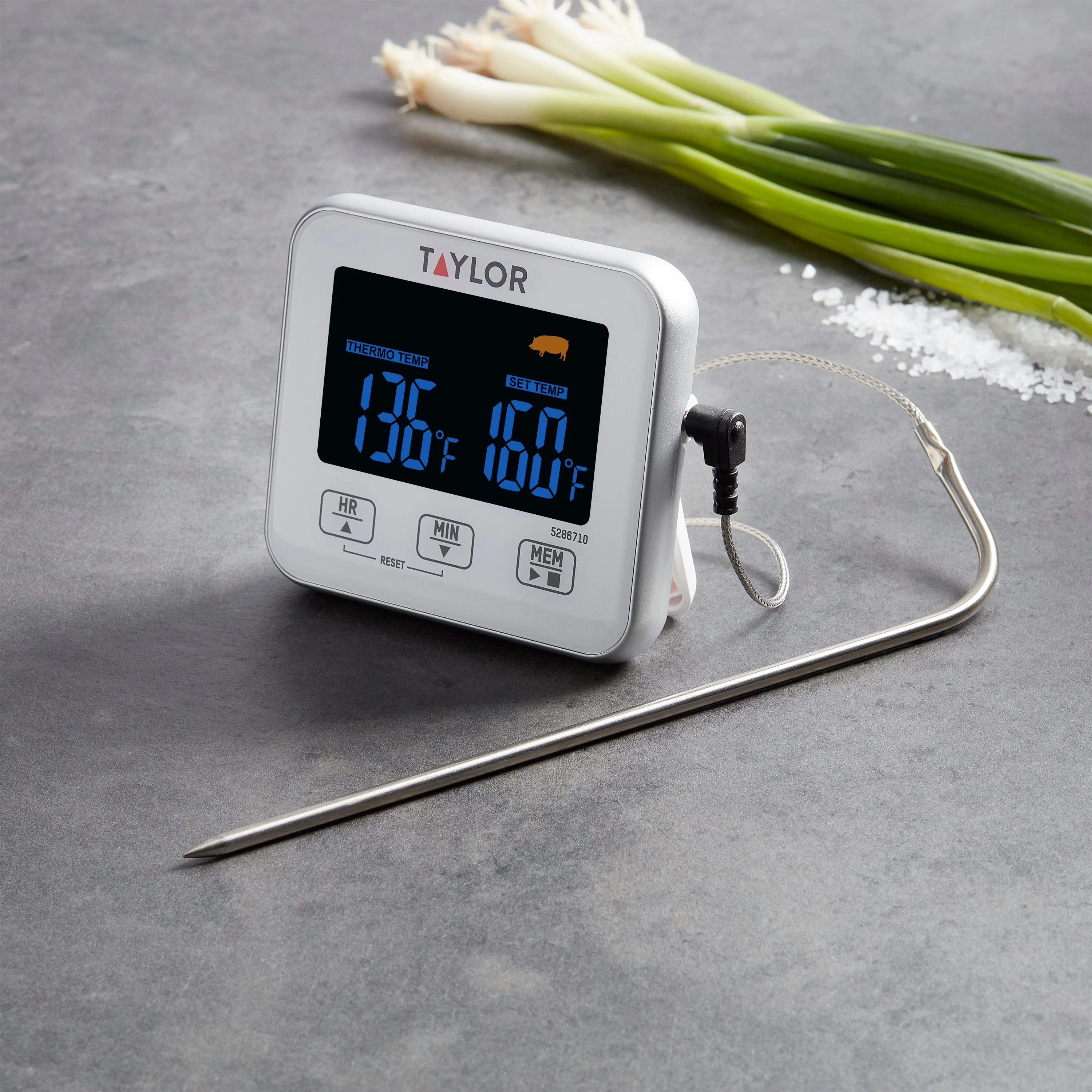 Programmable Digital Wired Thermometer