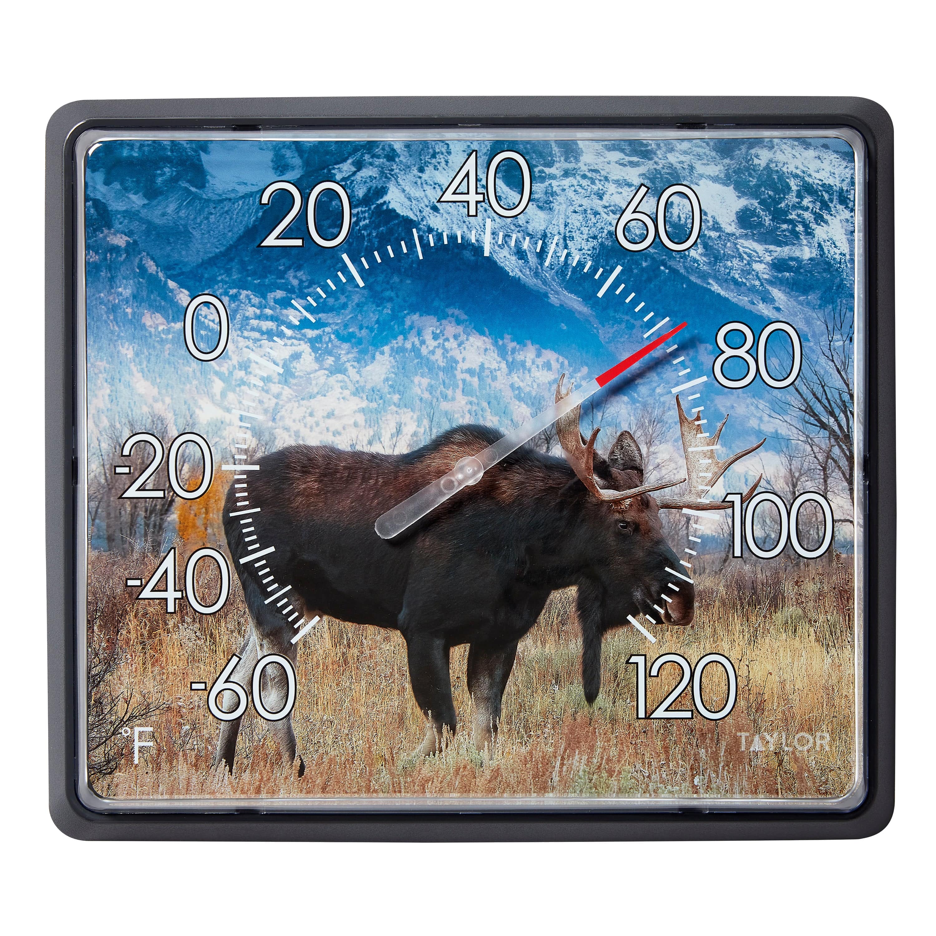 12" X 14" Dial Moose Thermometer, Nature Series