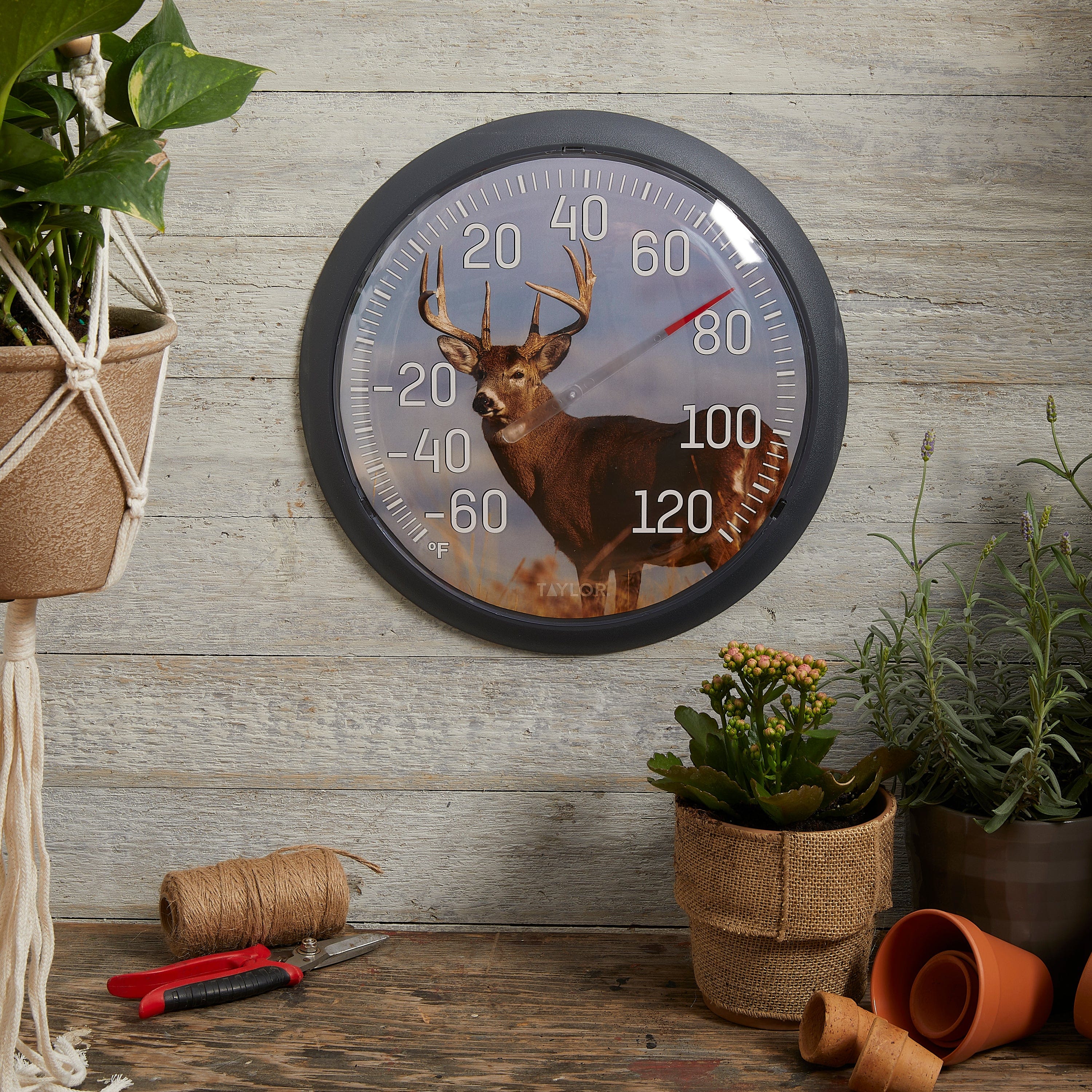 13.25" White Tail Deer Thermometer 2 13.25" White Tail Deer Thermometer