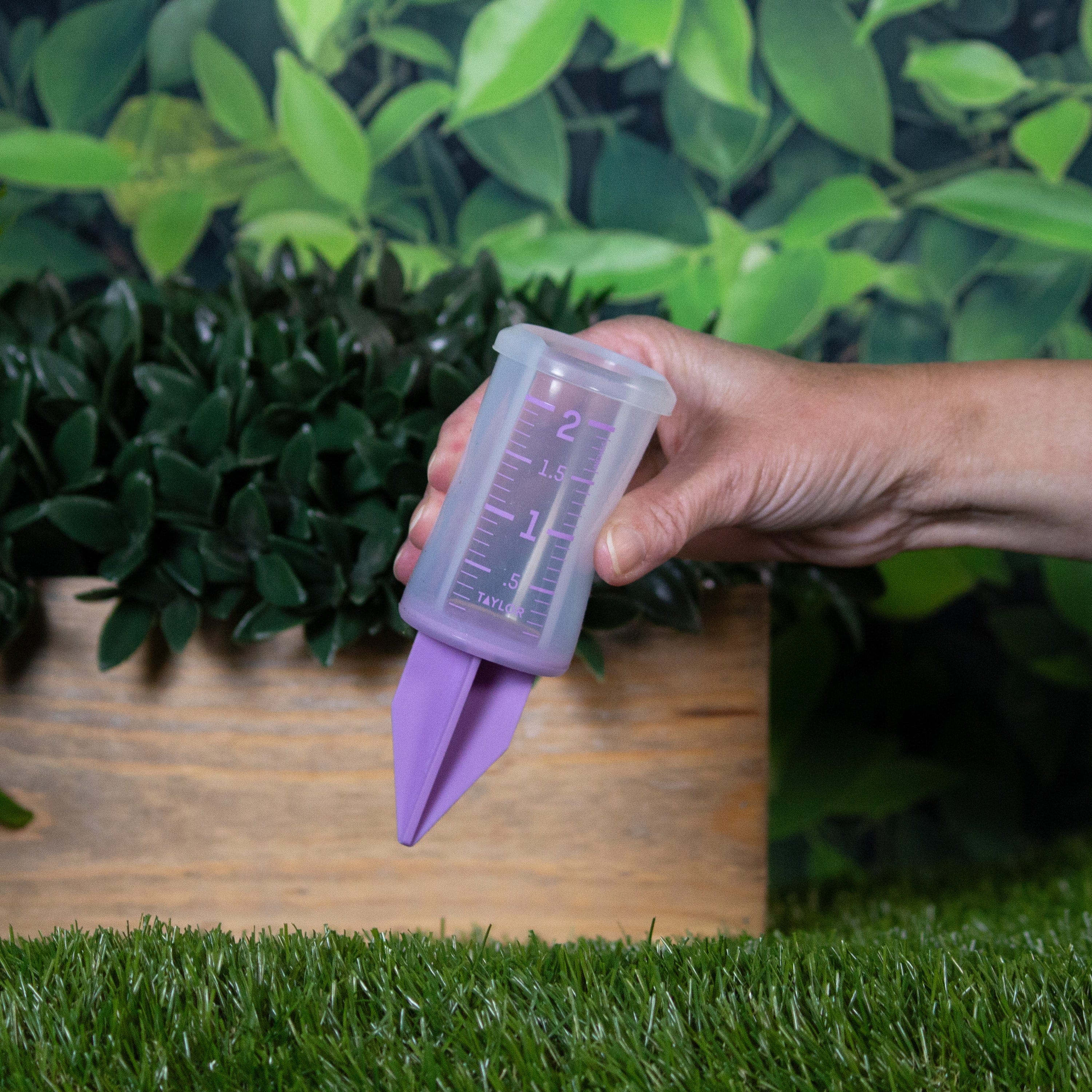 2" Silicone Sprinkler Gauge, Purple