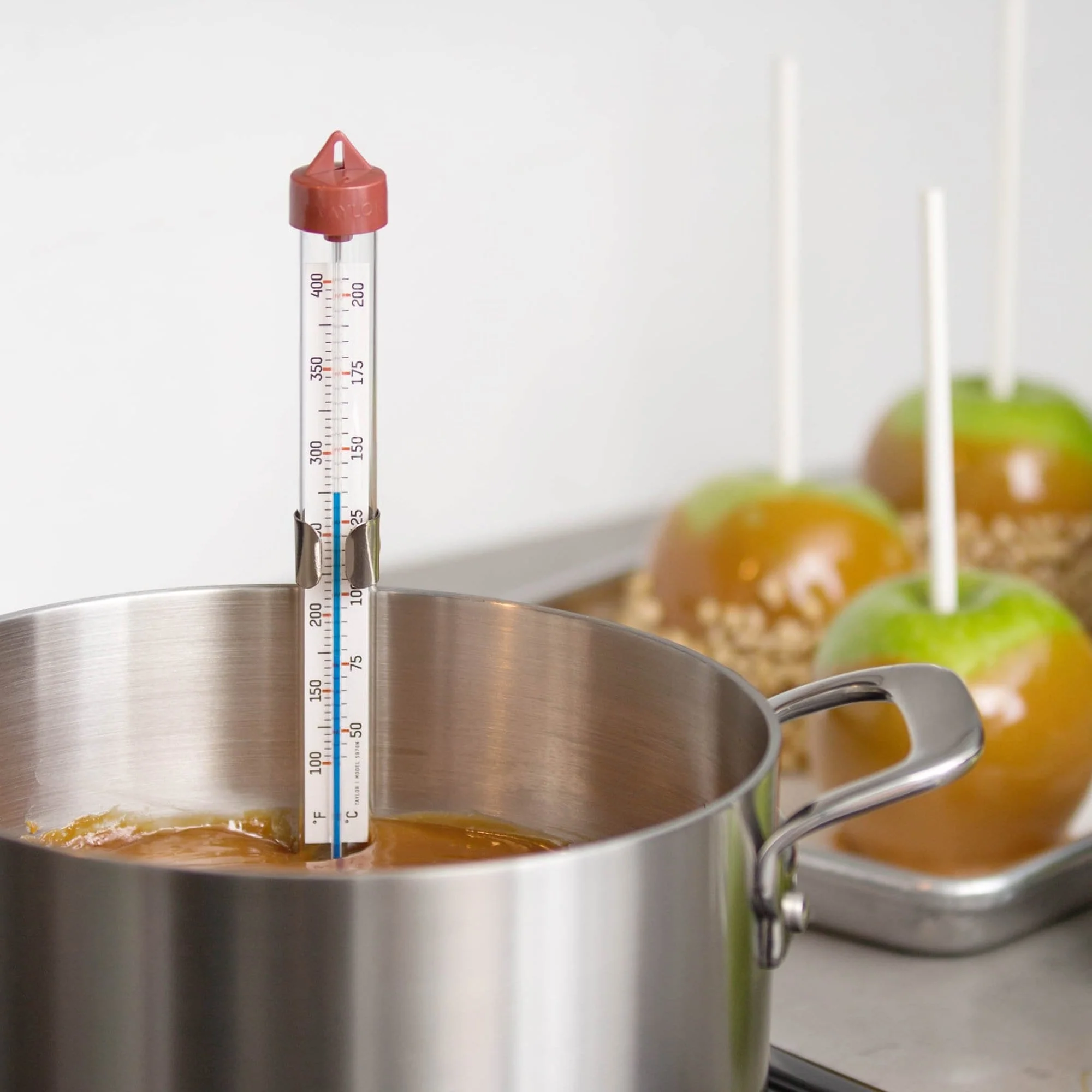 Candy/Deep Fry Thermometer