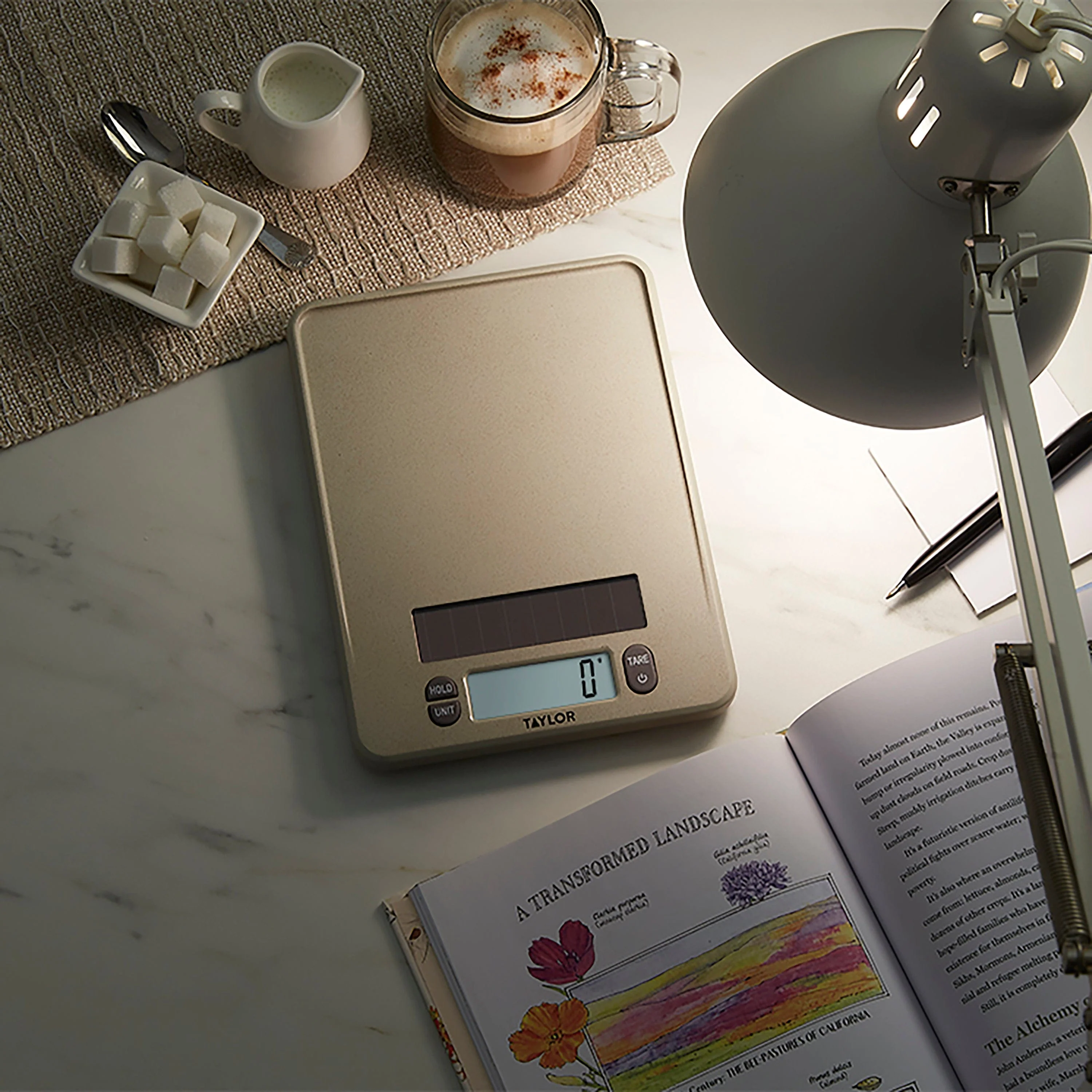 11lb Digital Light Energy Scale