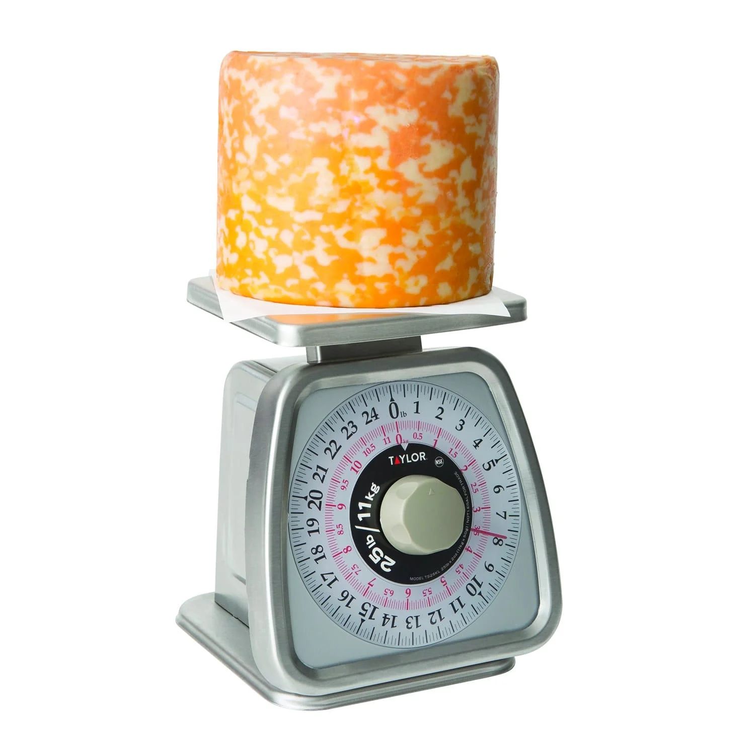 Analog Portion Control Scale with Rotating Dial