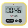 Continuous Ring Timer