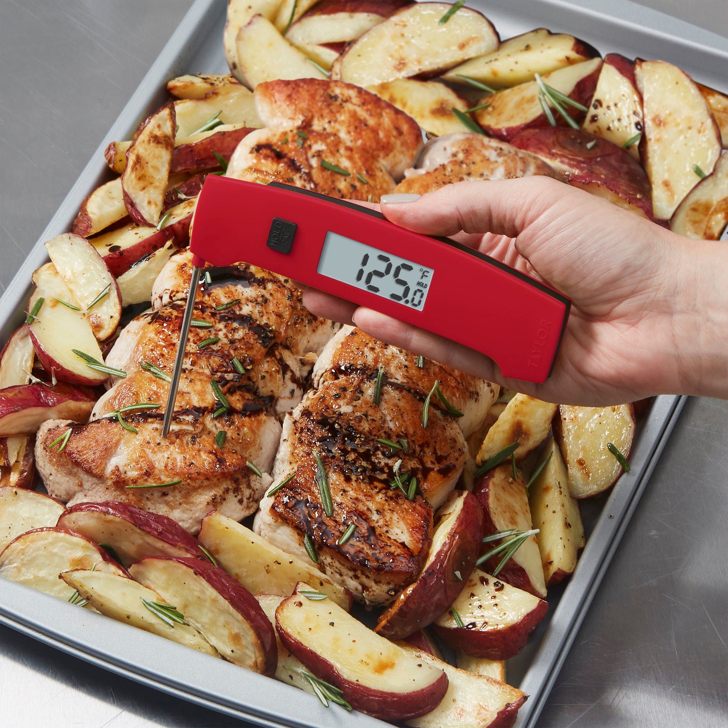 Folding Thermocouple Thermometer