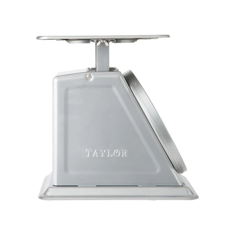 Heavy Duty Mechanical Scale with Dashpot