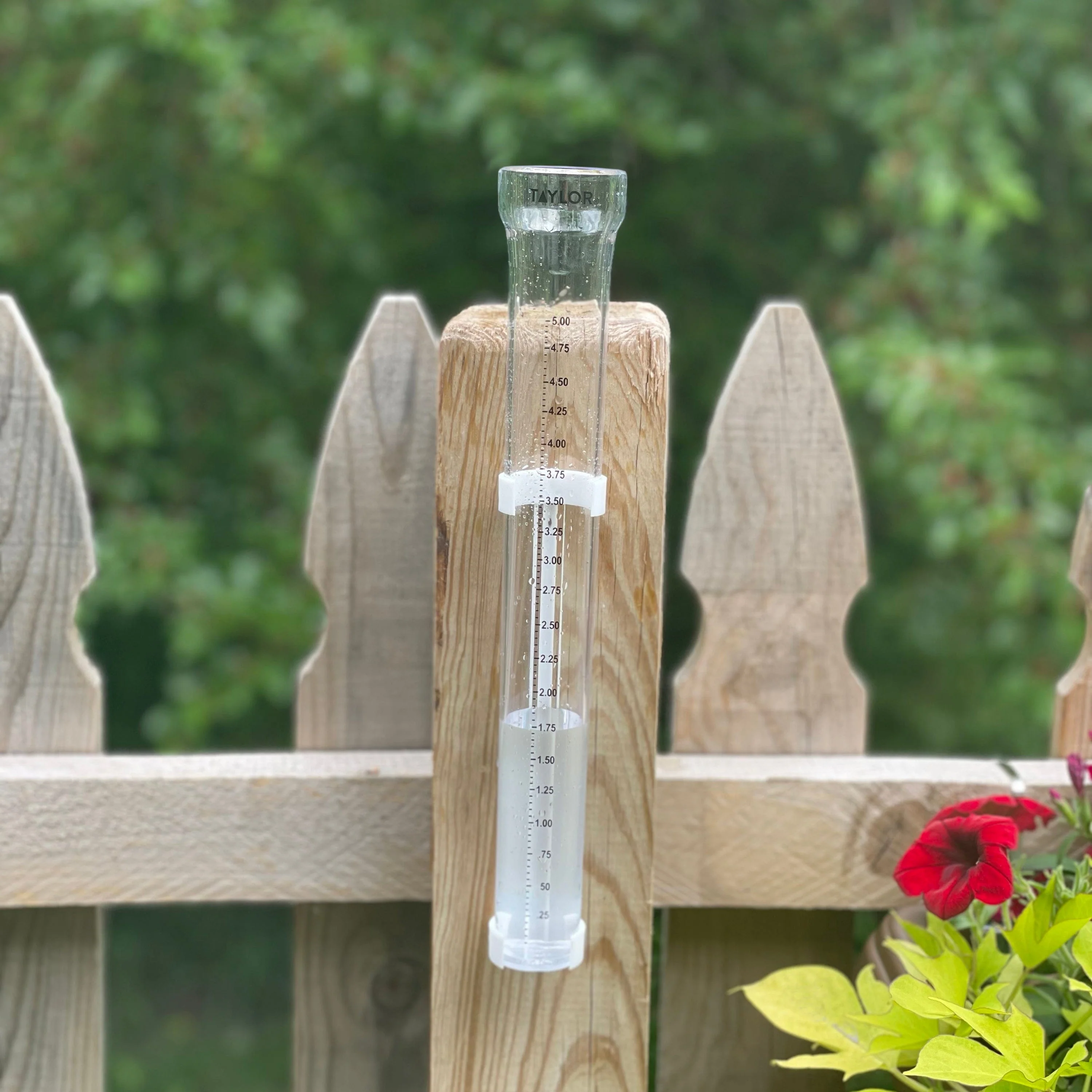 ClearVu? 5" Capacity Rain Gauge