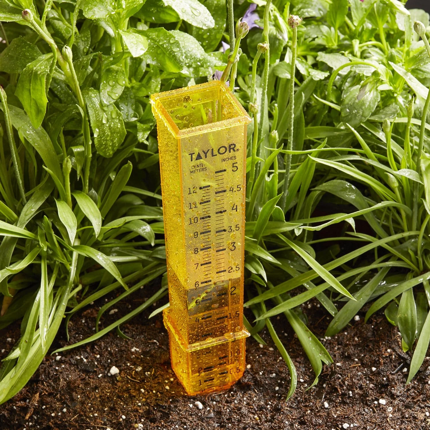 2-in-1 Rain and Sprinkler Gauge