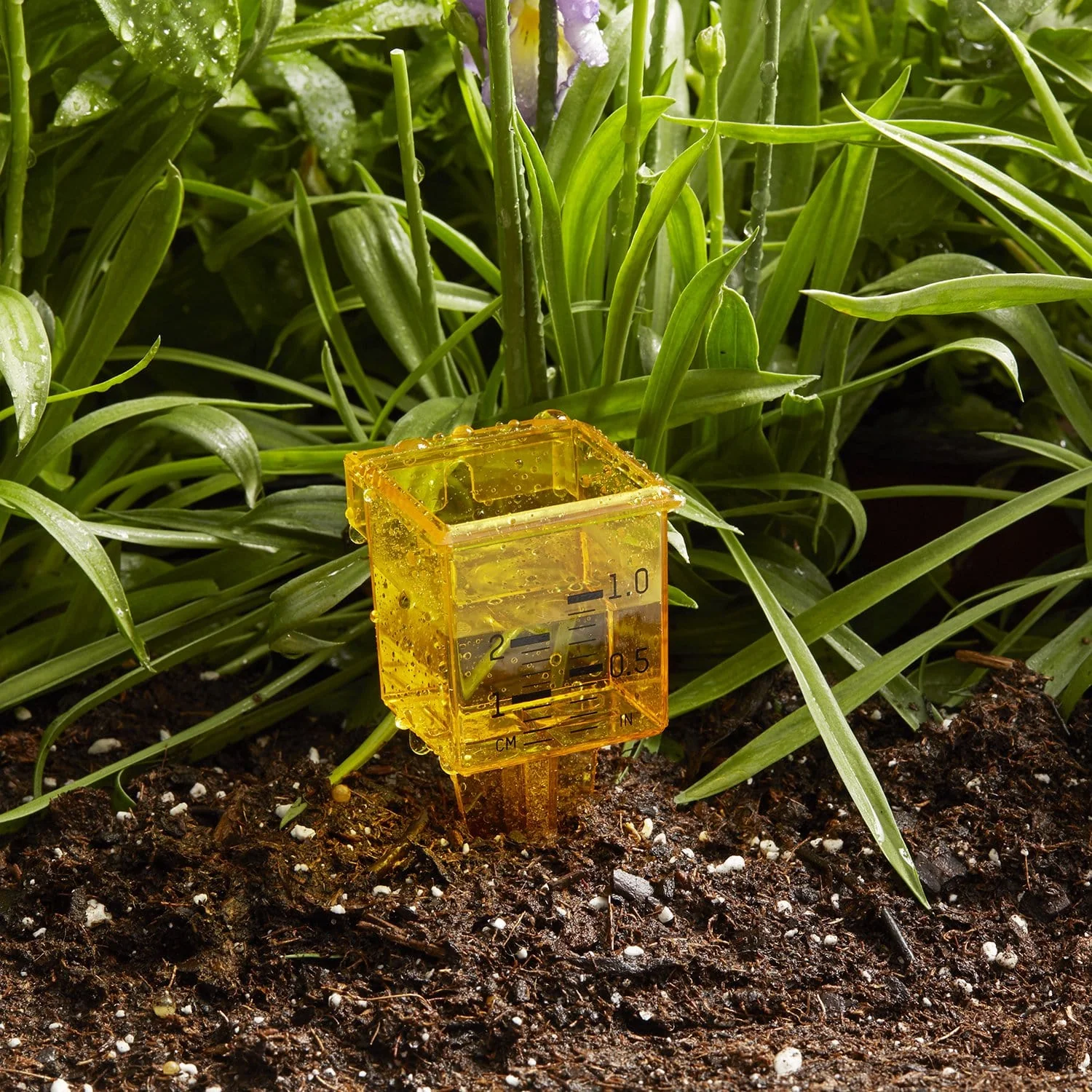 2-in-1 Rain and Sprinkler Gauge