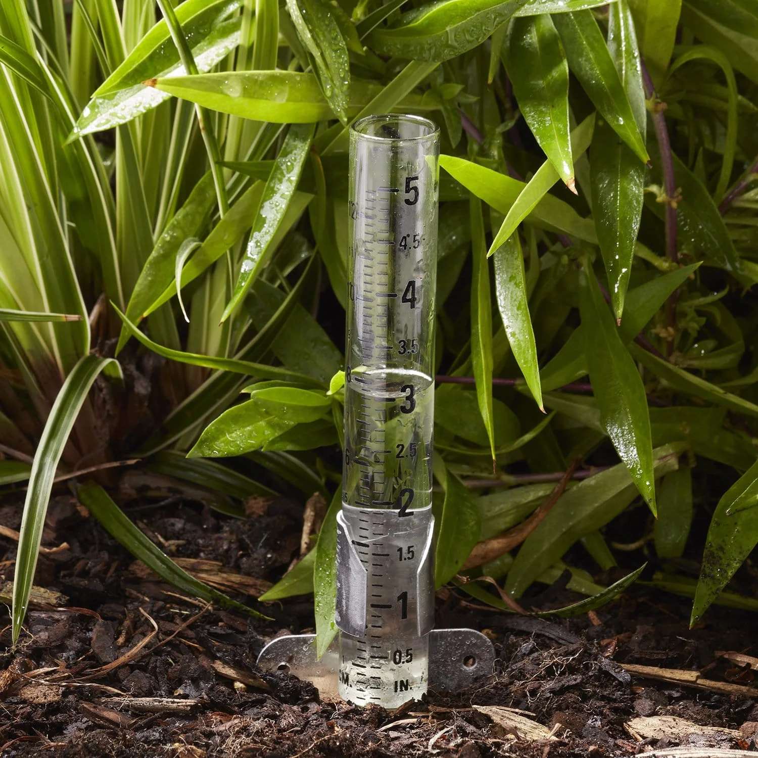 5" Capacity Glass Rain Gauge