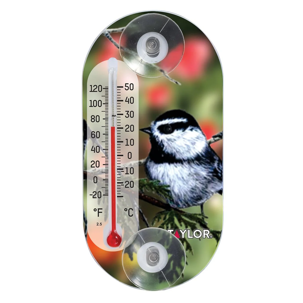 Home 36 4" Suction Cup Decorative Tube Thermometer, Chickadee